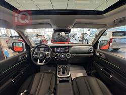GWM تانك 300